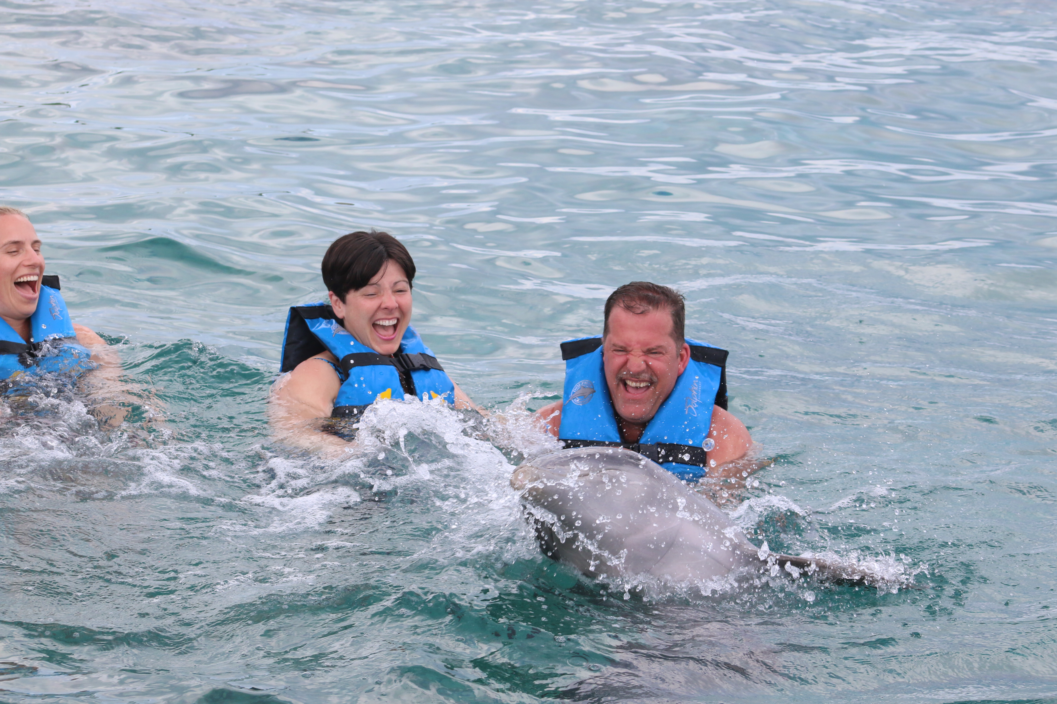 Swimming with Dolphins